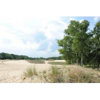 2558_5612 Sandlandschaft im Naturschutzgebiet Boberg - Dünenlandschaft und Bäume am Rand der Düne. | 